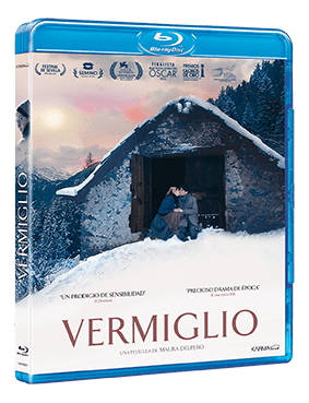Fict_3D_BR_VERMIGLIO